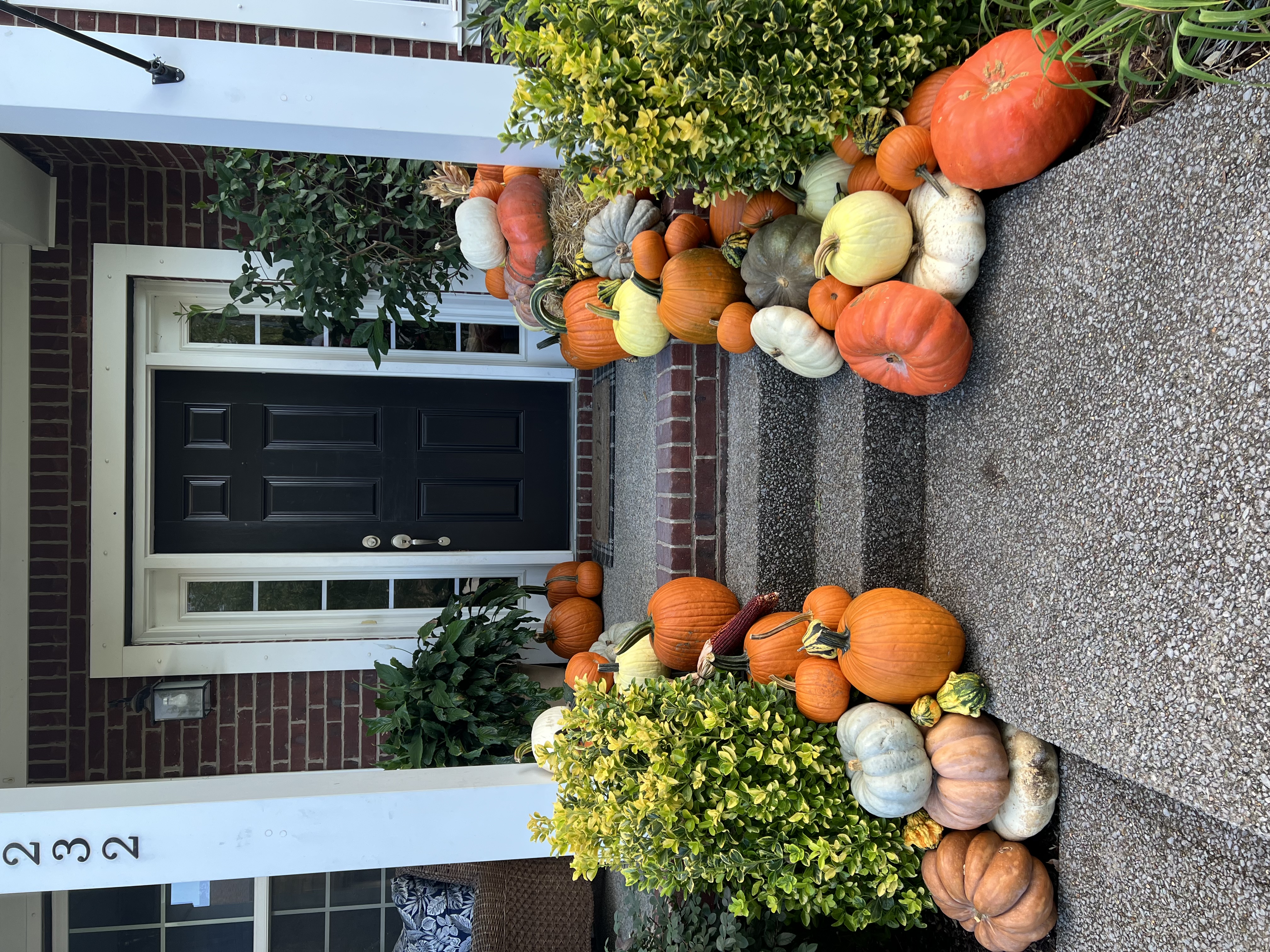 Grand Harvest pumpkin display on suburban porch